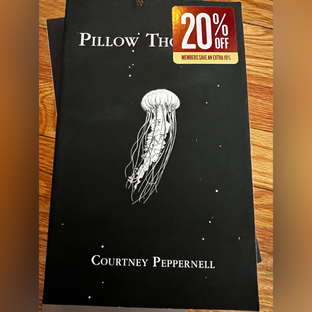 Pillow Thoughts poetry book